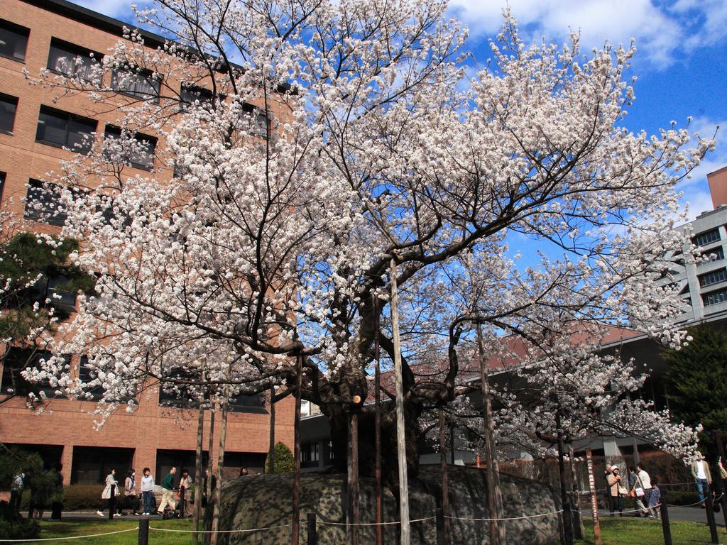 Kita Hotel Morioka Exteriér fotografie